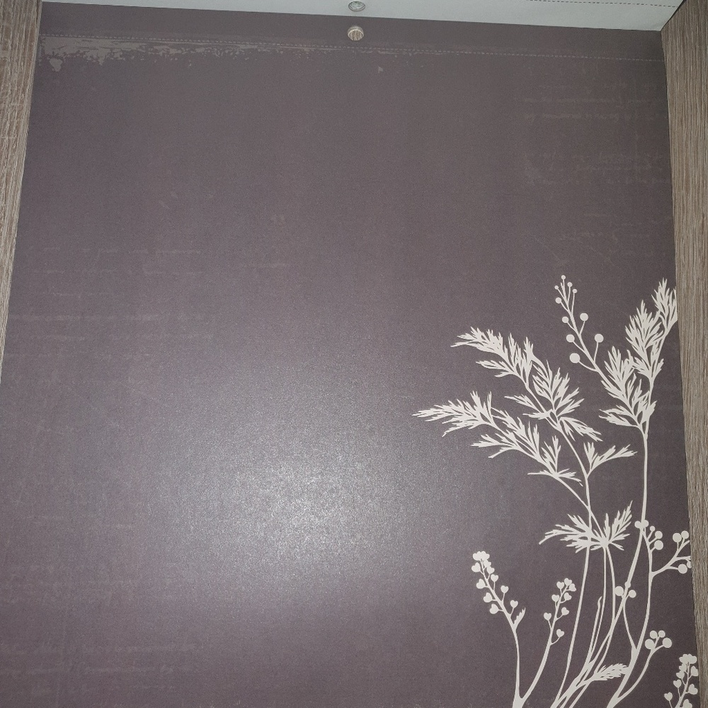 Designer paper - Picture 2 of 4